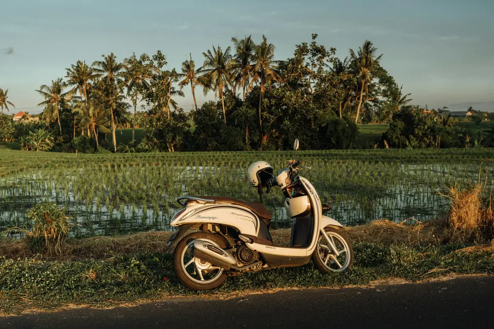Rental scooter parked beside a rice field in Bali
