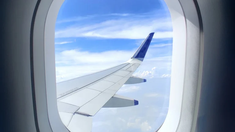 White and blue aeroplane wing seen from a passenger window